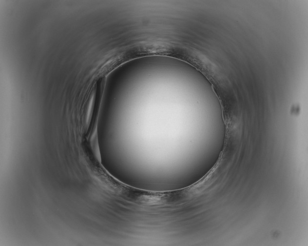 X0000097610170200803071457