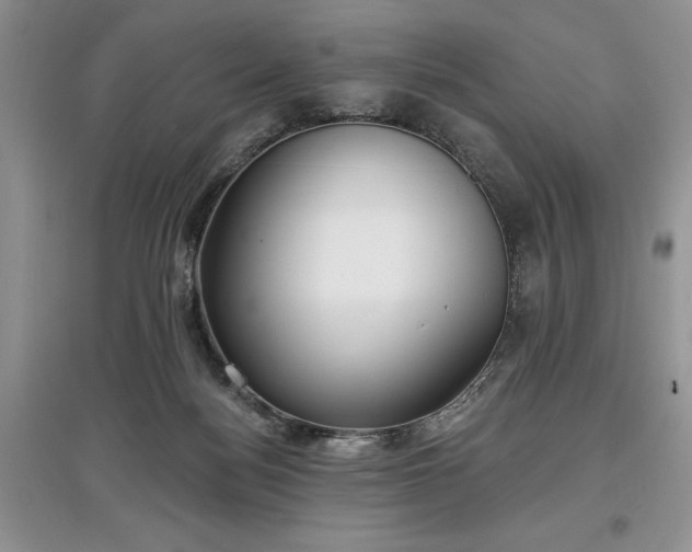 X0000097610172200803071457