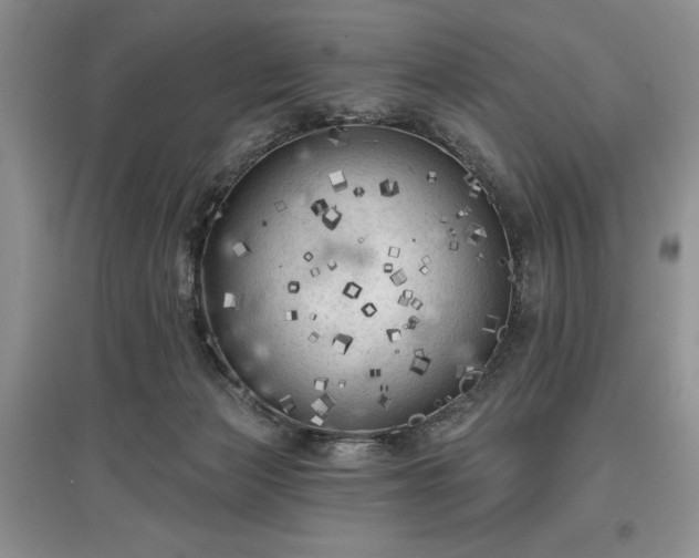 X0000097610173200803071457