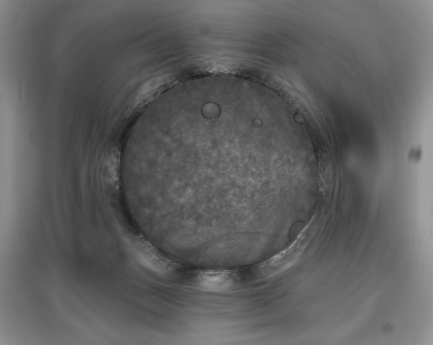 X0000097610175200803071457