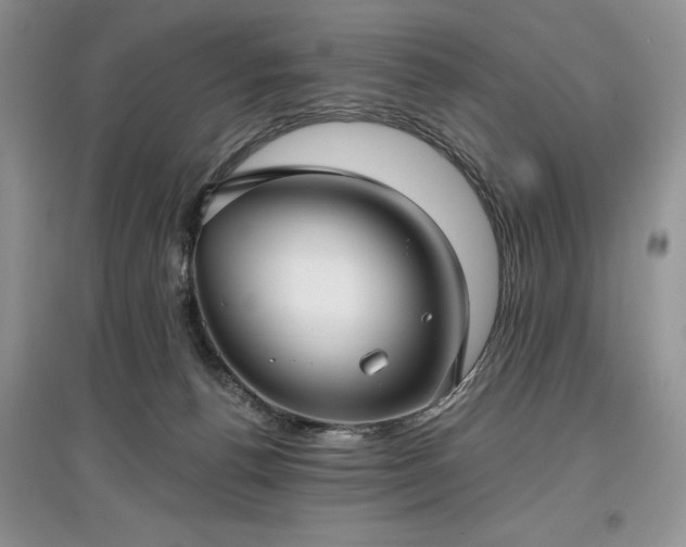 X0000097610176200803071457