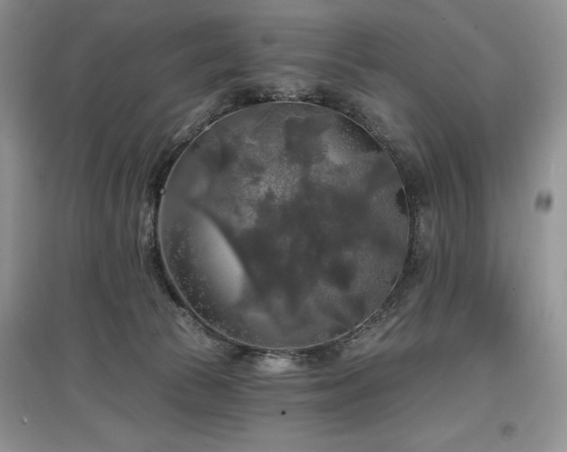 X0000097610177200803071457