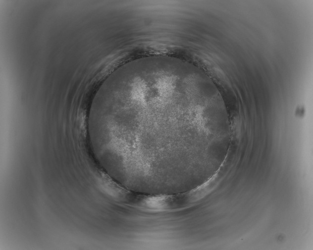 X0000097610178200803071457