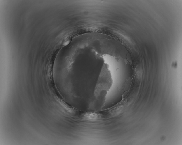 X0000097610181200803071457