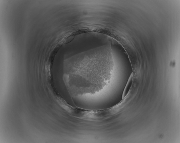 X0000097610182200803071457