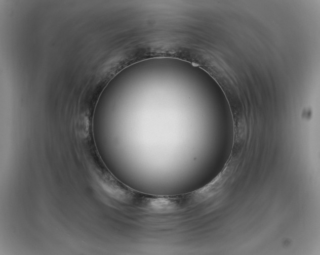 X0000097610183200803071457