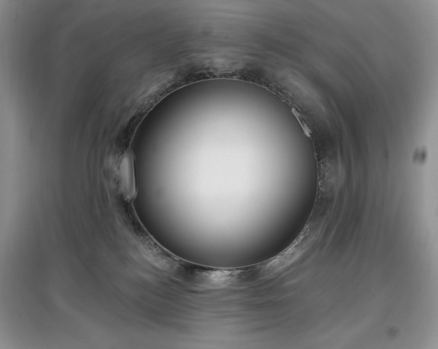 X0000097610184200803071457