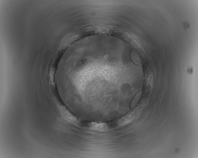 X0000097610185200803071457