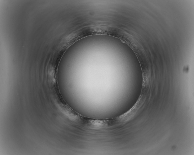 X0000097610187200803071457