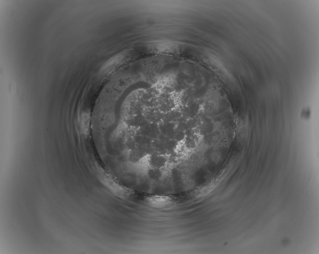 X0000097610189200803071457