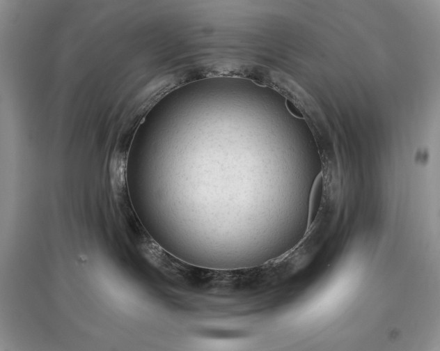 X0000097610191200803071457