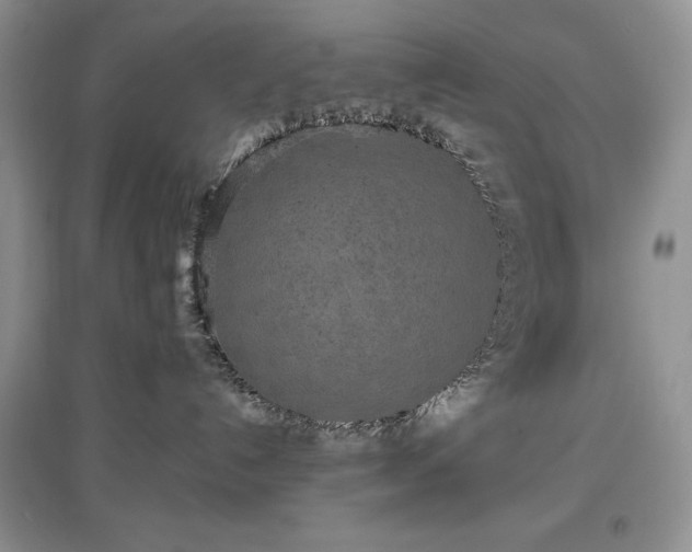 X0000097610192200803071457