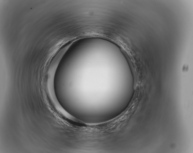 X0000097610193200803071456