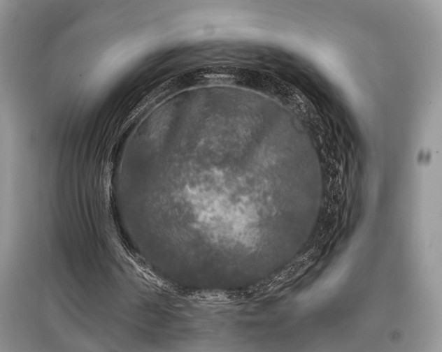 X0000097610194200803071456