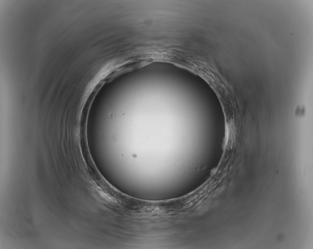 X0000097610195200803071456