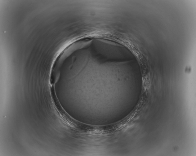 X0000097610196200803071456