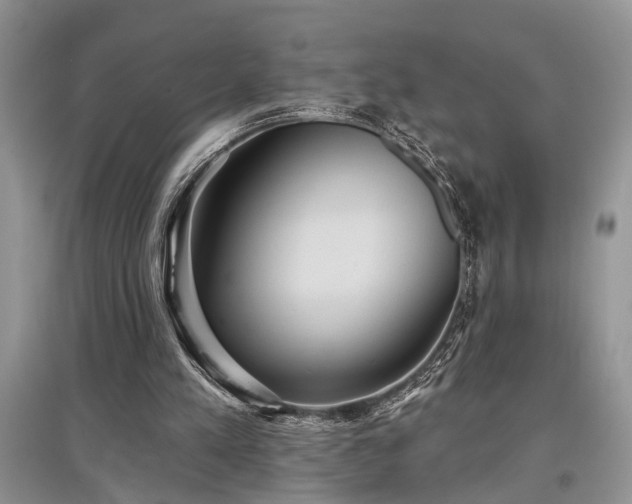 X0000097610197200803071456