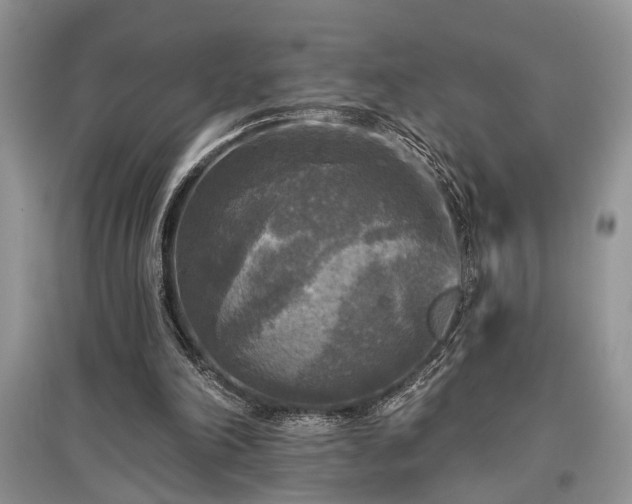 X0000097610198200803071456