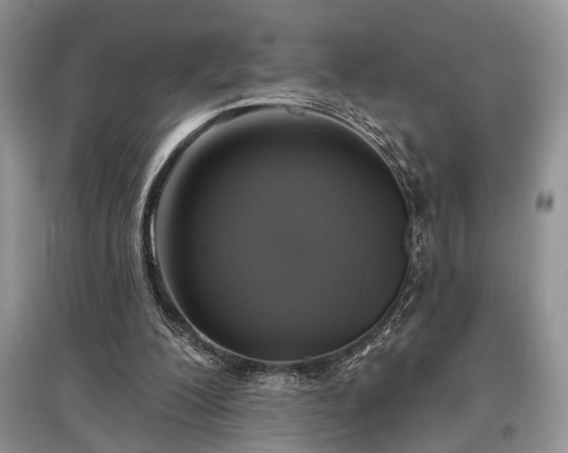 X0000097610200200803071456