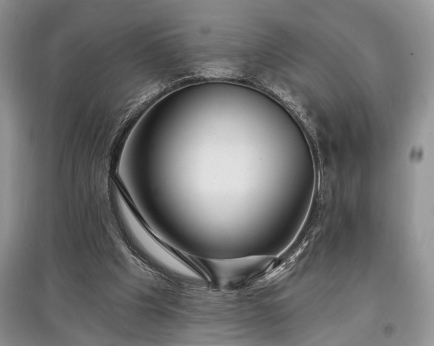 X0000097610201200803071456