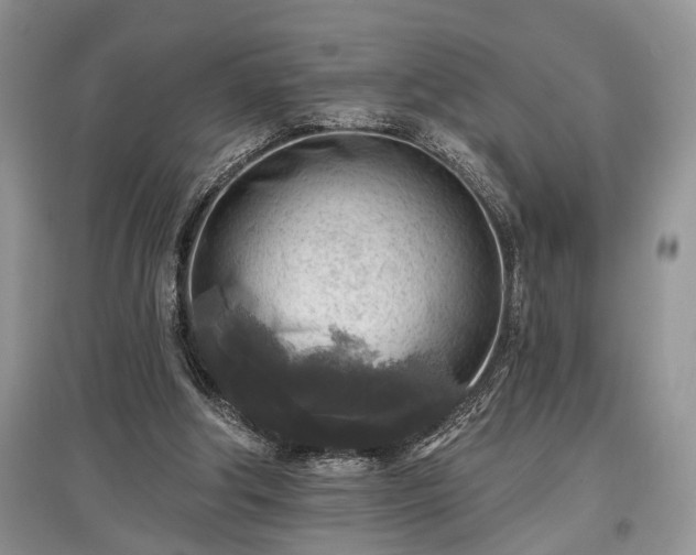 X0000097610202200803071456