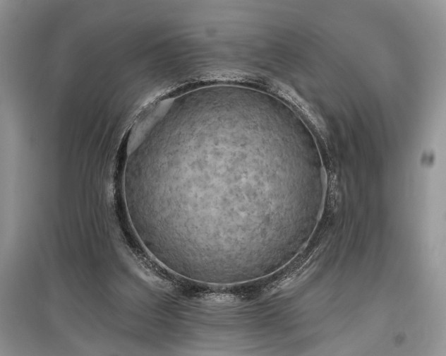 X0000097610203200803071456