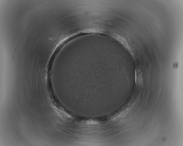 X0000097610204200803071456