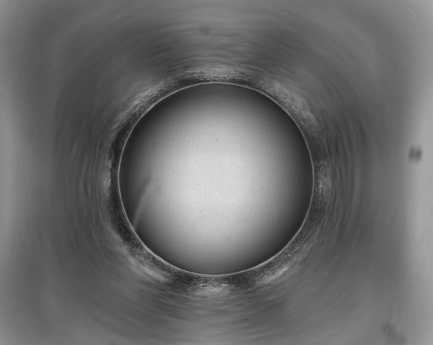 X0000097610206200803071456