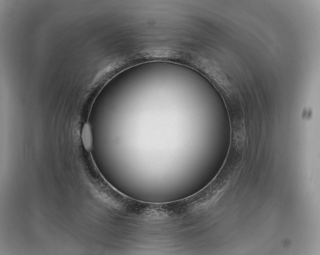 X0000097610207200803071456