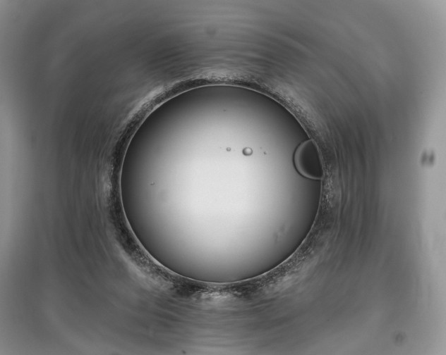 X0000097610208200803071456