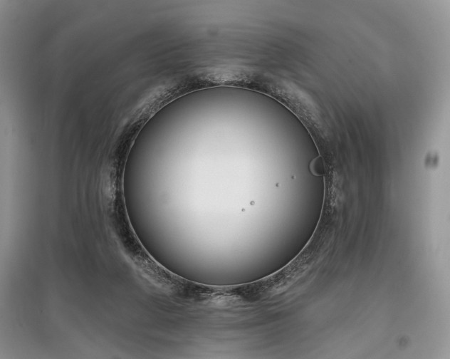 X0000097610210200803071456