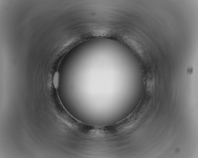 X0000097610211200803071456