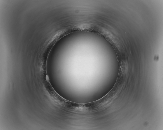 X0000097610212200803071456