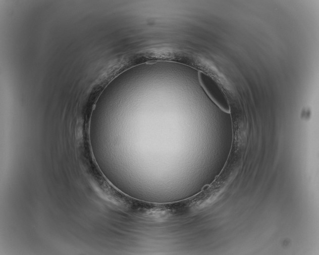 X0000097610213200803071456