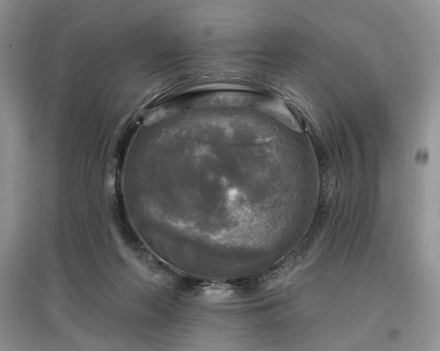 X0000097610214200803071456