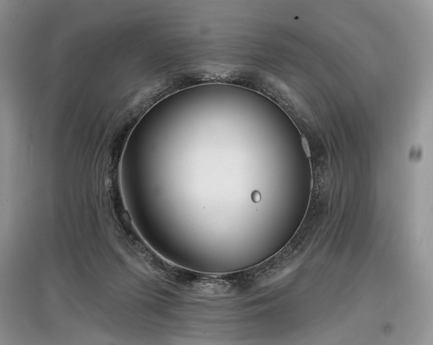 X0000097610215200803071456