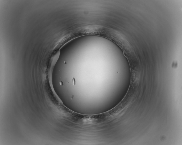 X0000097610216200803071456
