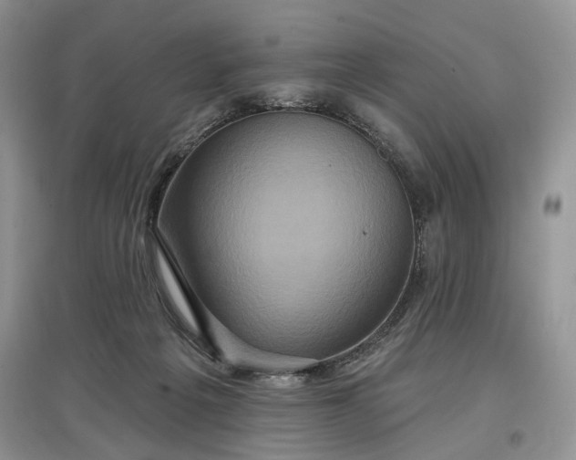X0000097610217200803071456