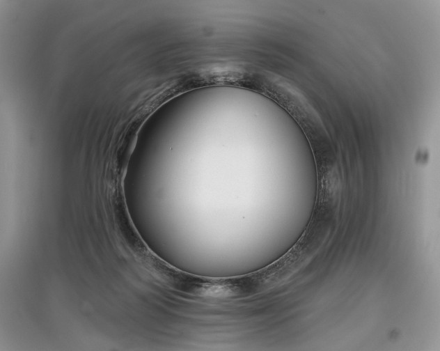 X0000097610218200803071456