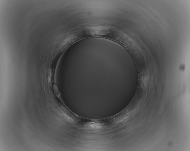 X0000097610219200803071456
