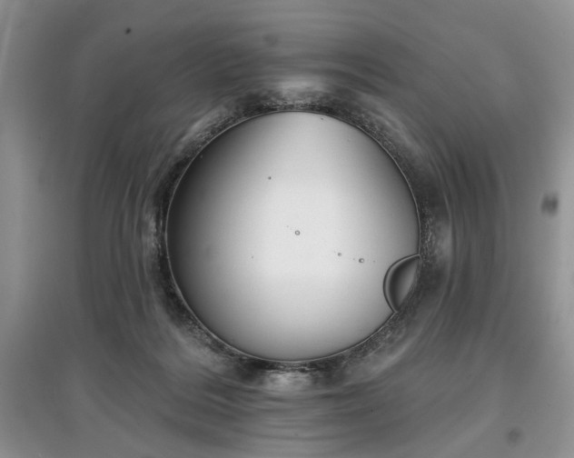 X0000097610220200803071456