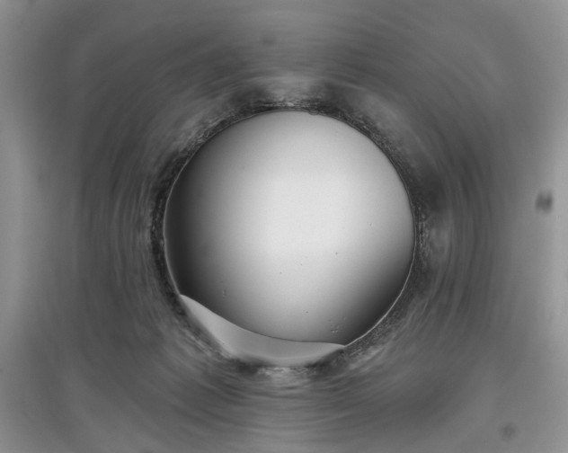 X0000097610221200803071456