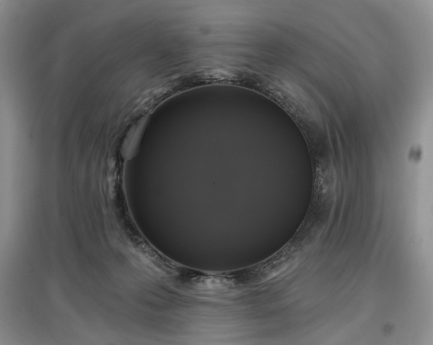 X0000097610223200803071456