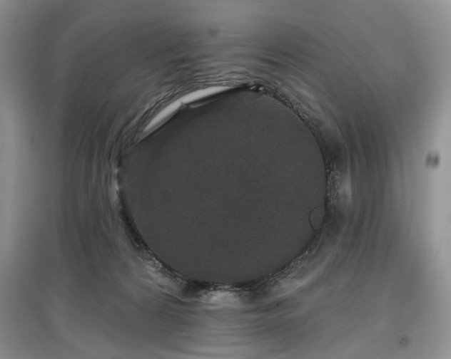 X0000097610224200803071456