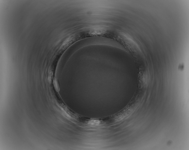 X0000097610227200803071456