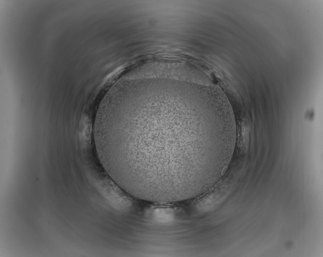 X0000097610228200803071456