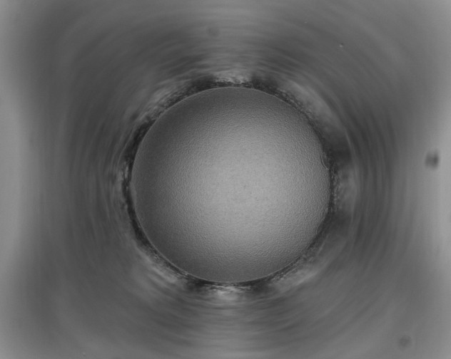 X0000097610229200803071456