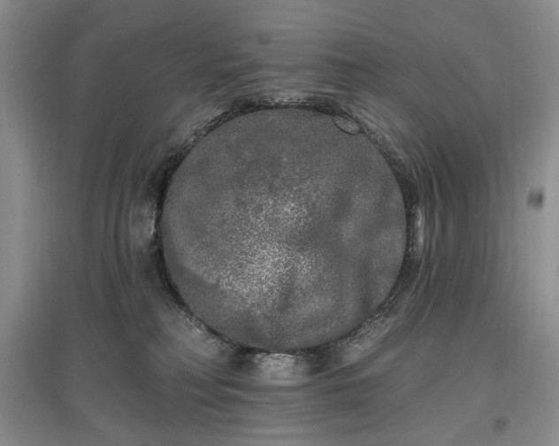 X0000097610230200803071456