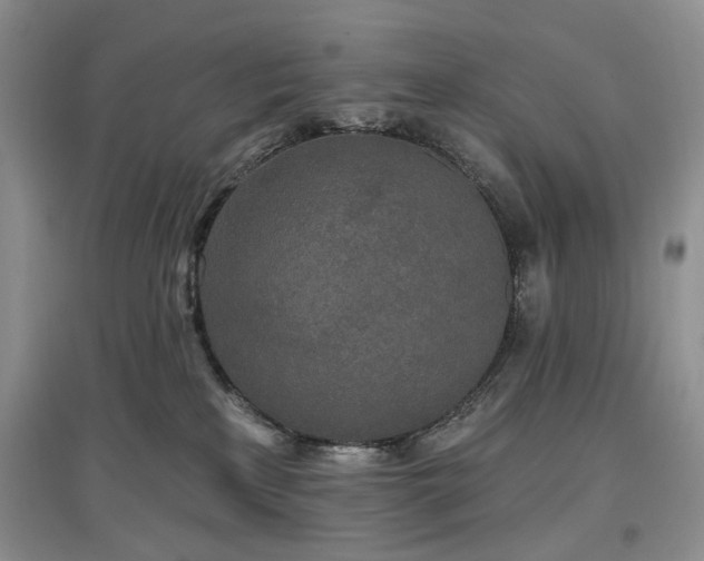 X0000097610233200803071456