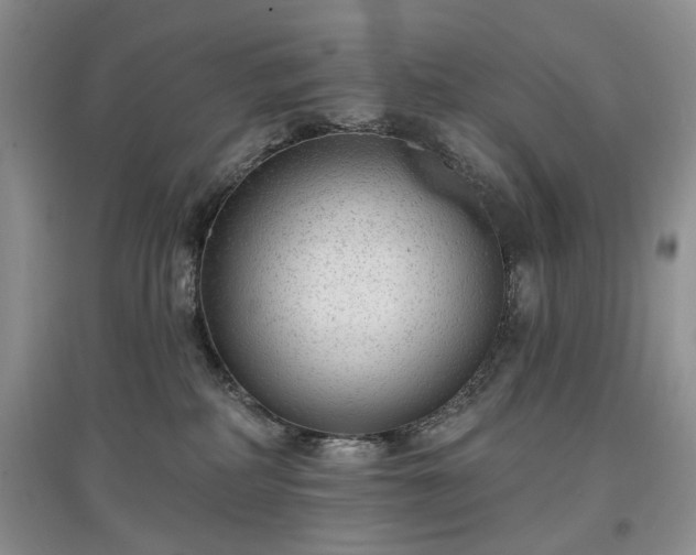 X0000097610234200803071456